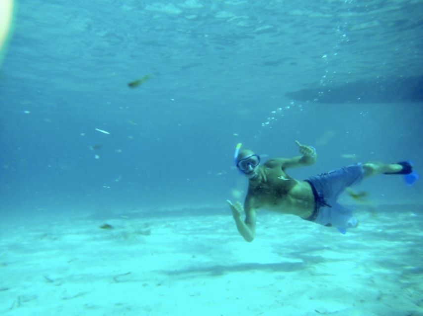 Mallorca : Speedboat, Snorkelling and Swimming Adventure - Inside the Formentor Cave: Stalactites and Photo Angles