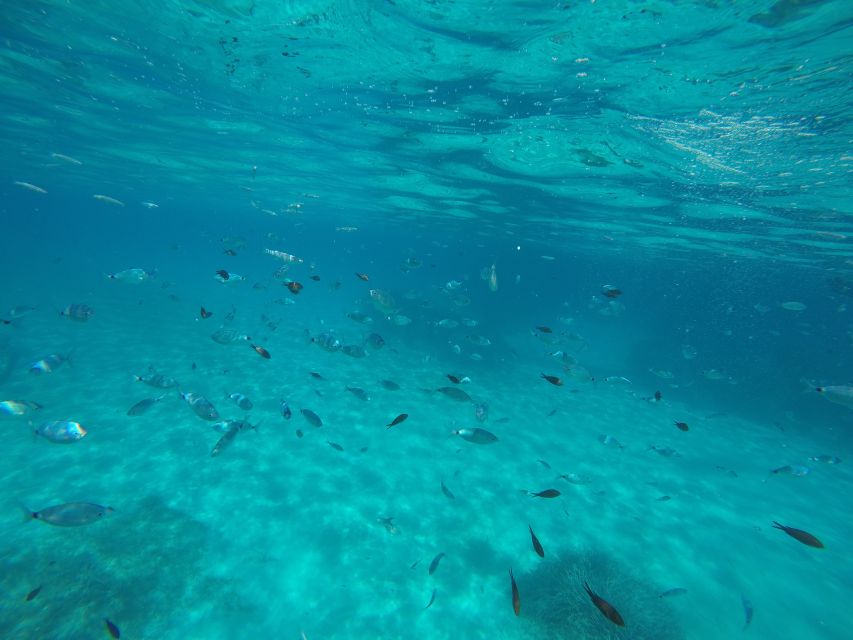 Mallorca : Speedboat, Snorkelling and Swimming Adventure - What to Pack (and How to Stay Comfortable in Real Sea Conditions)