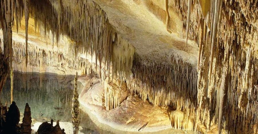 Mallorca: Ticket for Caves of Drach with Pickup Service - How the Mallorca pickup makes this feel low-stress
