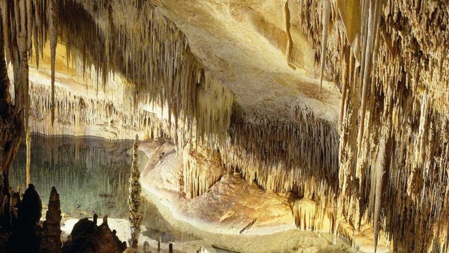 Mallorca: Ticket for Caves of Drach with Pickup Service - A self-guided cave route with a QR brochure