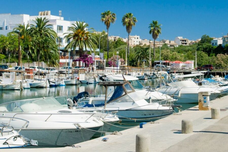 Mallorca: Ticket for Caves of Drach with Pickup Service - The live classical recital by Lake Martel