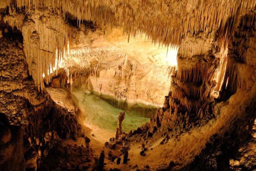 Mallorca: Ticket for Caves of Drach with Pickup Service - Porto Cristo free time: quick harbor break