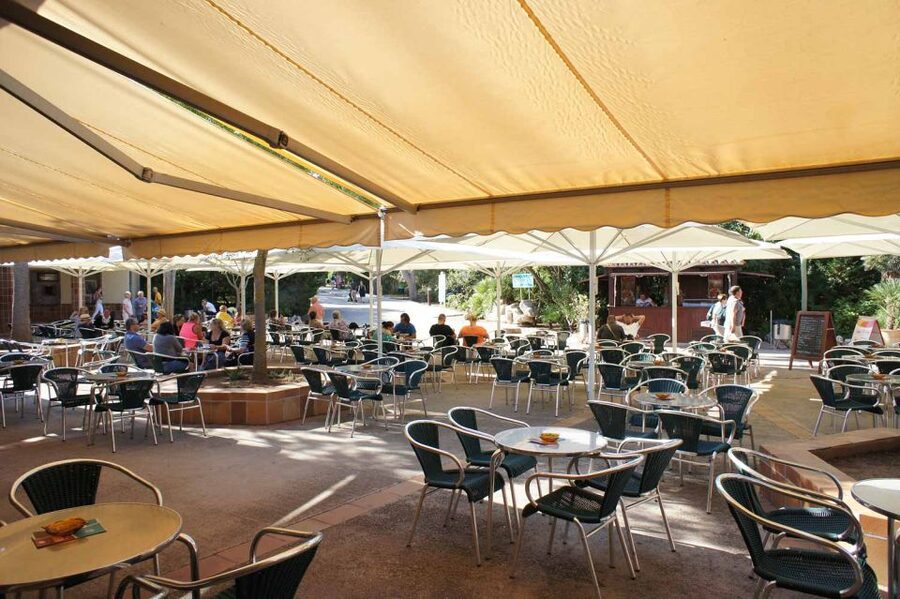 Mallorca: Ticket for Caves of Drach with Pickup Service - Price and value: when $64 makes sense
