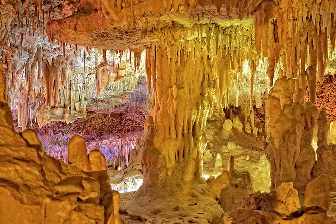 Mallorca Tour: Hams Caves and Pearl Shop with Hotel Pick up - Price and value: where your $45.30 actually goes
