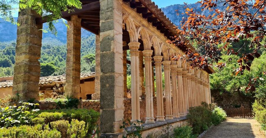 Mallorca: Tramuntana Mountains Tour with Local Guide & Lunch - Why the Tramuntana drive feels like more than a bus tour
