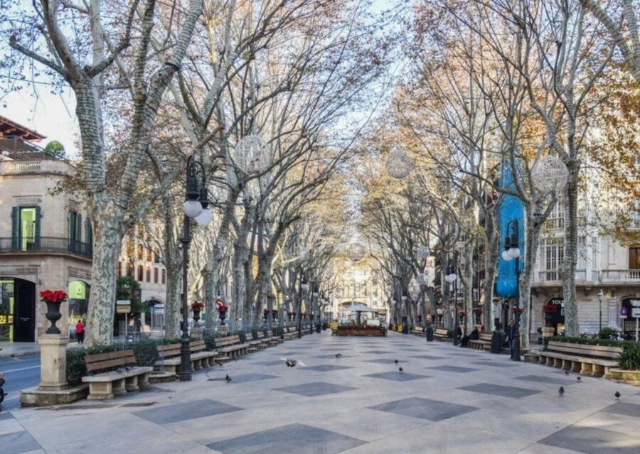 Mallorca: Transfer to Palma self-guided Tour - Key Takeaways Before You Go