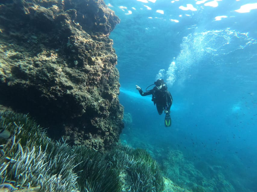 Mallorca: Try Scuba Diving by Boat - Booking the trip: the flexible, low-risk way to plan