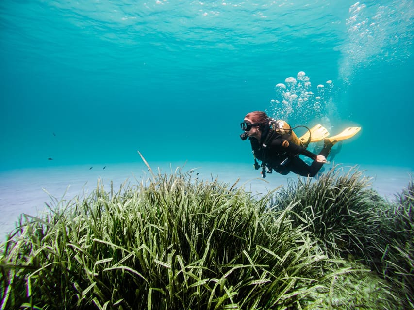 Mallorca: Try Scuba Diving by Boat - Getting set up at Skualo Porto Cristo (and why the start matters)
