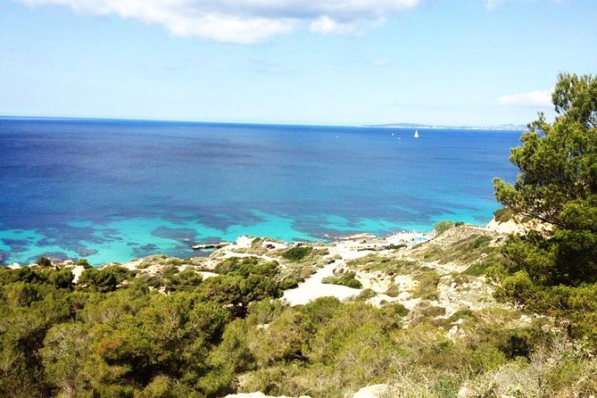 Mallorca: Try Scuba Diving in a Beautiful Nature Reserve - Cala Delta Bay shore setup, made for first-timers