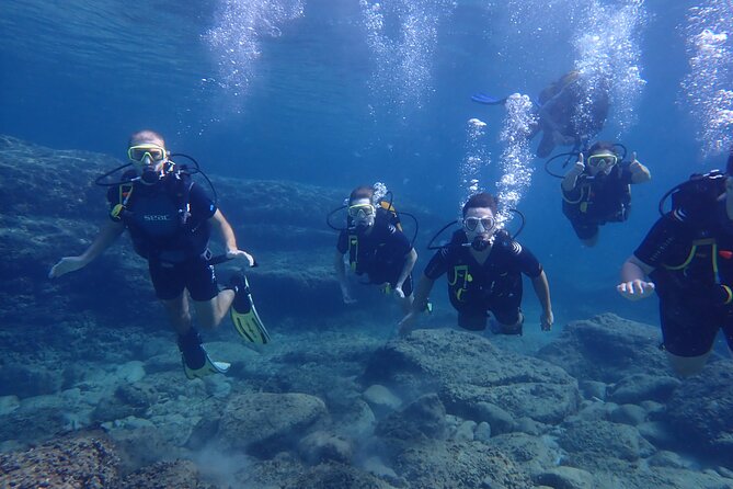 Mallorca: Try Scuba Diving in a Beautiful Nature Reserve - The medical questionnaire rule is the real decision-maker