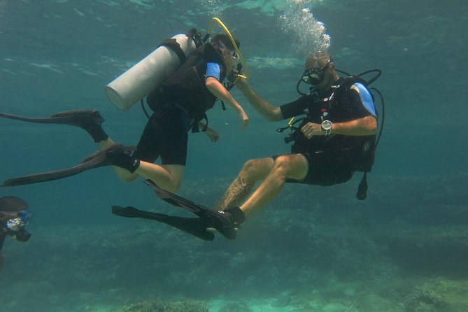 Mallorca: Try Scuba Diving in a Beautiful Nature Reserve - Stop 1 at AquaSub: what you do from meet-up to water time