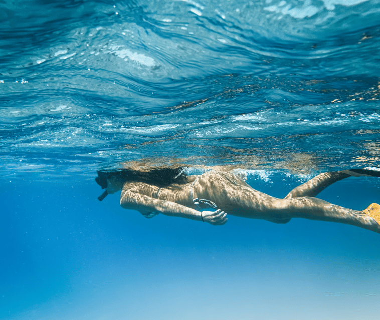 Mallorca: Visit Palma Speedboat adrenaline & snorkelling - Price and value: is $51 worth it?