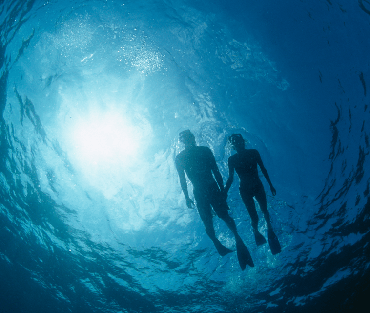 Mallorca: Visit Palma Speedboat adrenaline & snorkelling - Your snorkelling stop in Palma Bay water