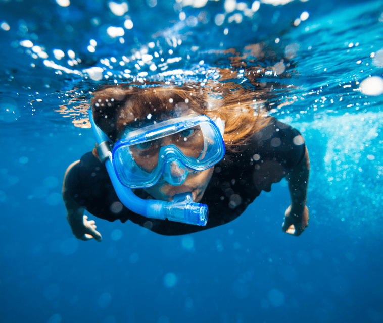 Mallorca: Visit Palma Speedboat adrenaline & snorkelling - What’s included, what’s not, and what to bring