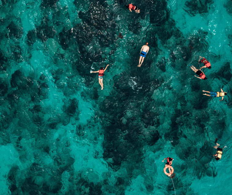 Mallorca: Visit Palma Speedboat adrenaline & snorkelling - Restrictions to know before you book