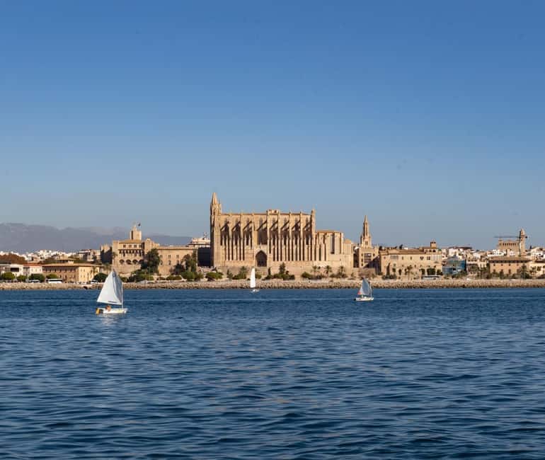 Mallorca: Visit Palma Speedboat adrenaline & snorkelling - Meeting at Sa Calma Boats near Can Pastilla