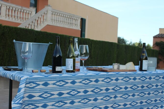 Mallorca Wine and Cheese Tasting - What you actually learn about Mallorca wine, without the pressure