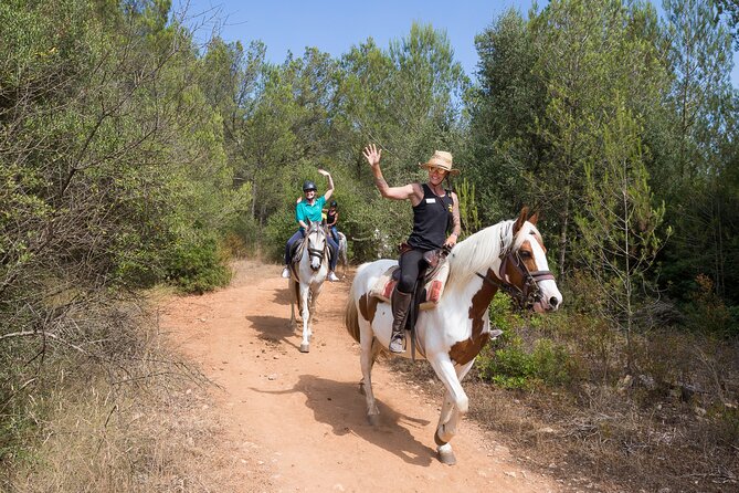 Mallorca Wine and Cheese Tasting - Price and value: what $48.57 covers in real terms