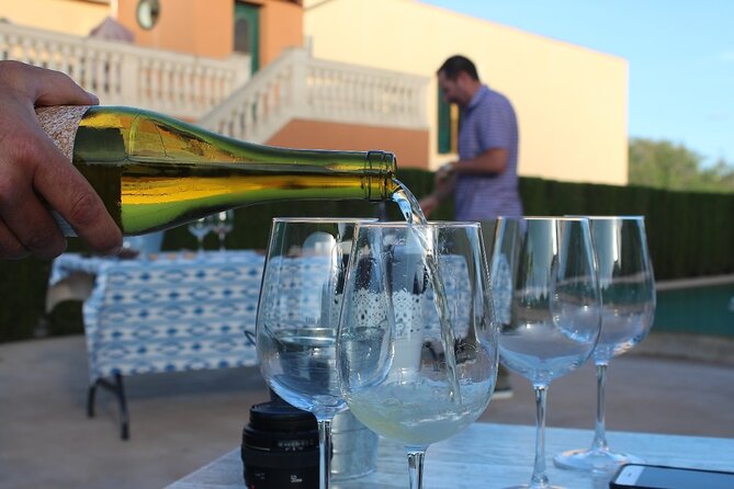 Mallorca Wine and Cheese Tasting - Weather, plan changes, and language options