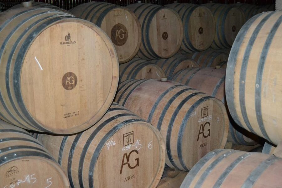 Mallorca: Wine Cellar Tour XL - 3 Wine Tastings incl. GERMAN - Who this Mallorca tour suits best, and who should skip it