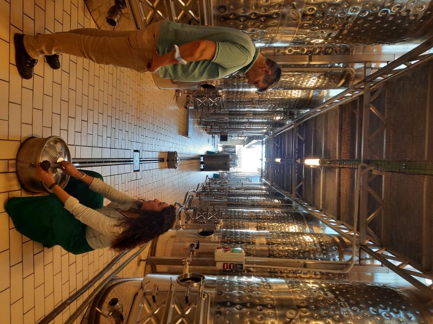 Mallorca: Wine Cellar Tour XL - 3 Wine Tastings incl. GERMAN - What you’ll taste: 3 or 4 Majorcan wines at each bodega