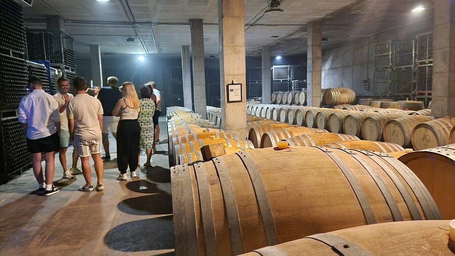 Mallorca: Wine Cellar Tour XL - 3 Wine Tastings incl. GERMAN - Price and value: is $191 per person a fair deal?