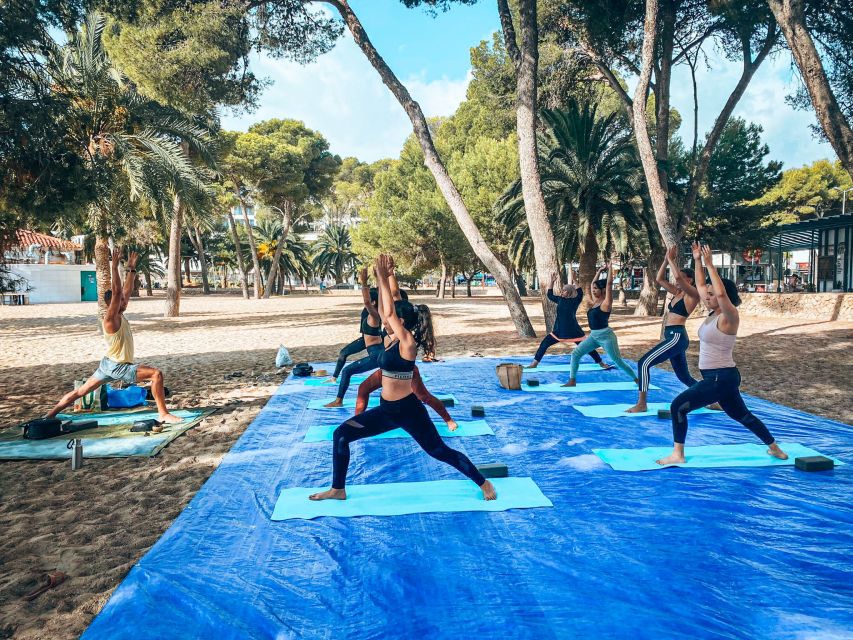 Mallorca: Yoga and Brunch on Palmanova Beach - Mallorca Palmanova beach yoga starts with the right setting