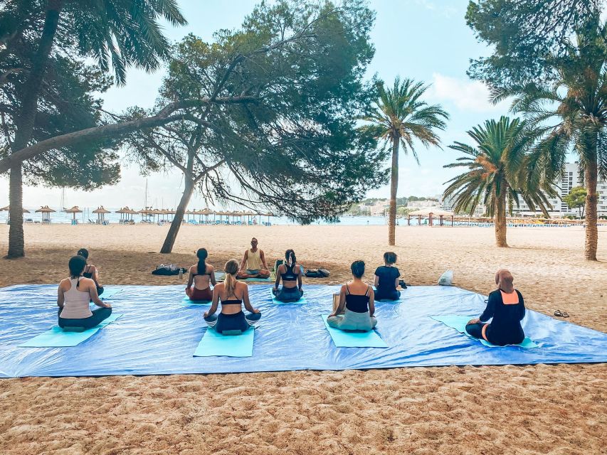 Mallorca: Yoga and Brunch on Palmanova Beach - Finding Il Chiringo and getting comfortable under the trees
