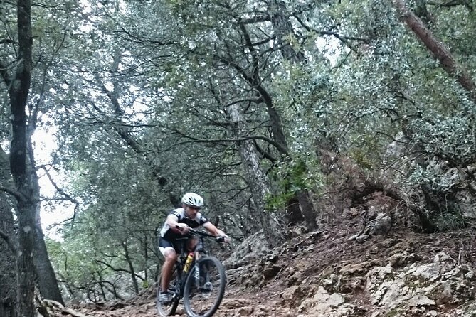 MTB guided tour in Bellver forest and Na Burguesa m.(E-MTB avai.) - Key highlights at a glance