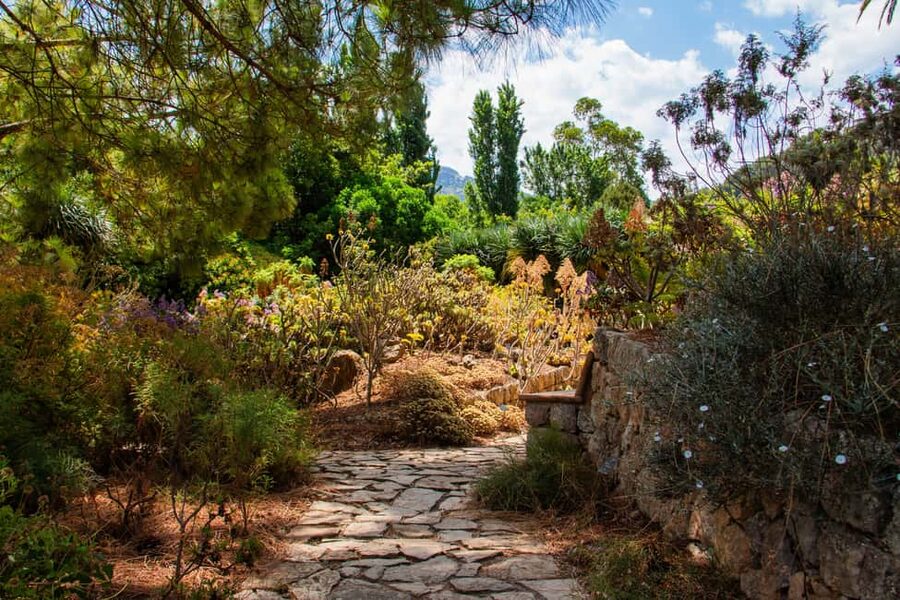 MUCBO | Jardí Botànic de Sóller - Balearic Museum of Natural Sciences - Jardí Botànic de Sóller and MUCBO: the island’s Balearic science focus