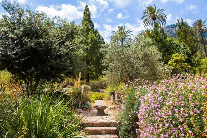 MUCBO | Jardí Botànic de Sóller - Balearic Museum of Natural Sciences - Botanical Garden walk: living plants plus the herbarium and germplasm bank