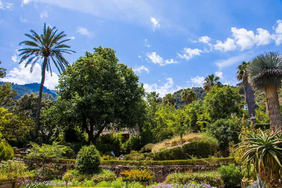 MUCBO | Jardí Botànic de Sóller - Balearic Museum of Natural Sciences - How to get the most from a self-paced science day