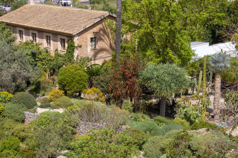 MUCBO | Jardí Botànic de Sóller - Balearic Museum of Natural Sciences - Price and value: what $11 buys you in two different worlds