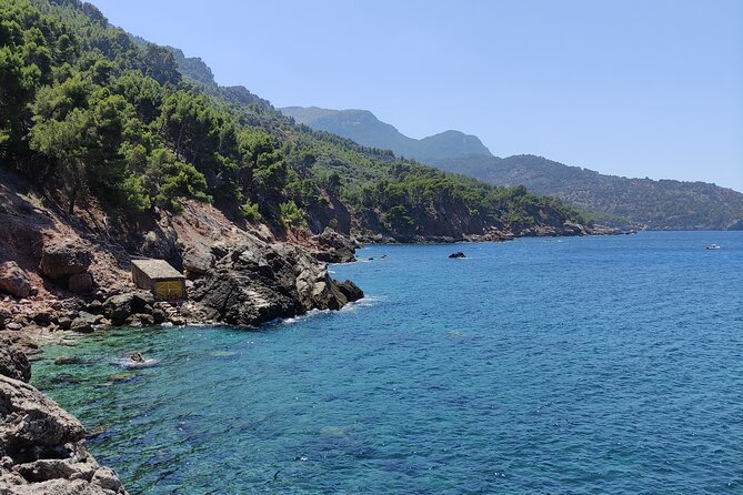 Nature Escape, Adventures on Mallorca's North coast - Stop 3: Cala Deia, the pine-forest path to a secret-feeling swim