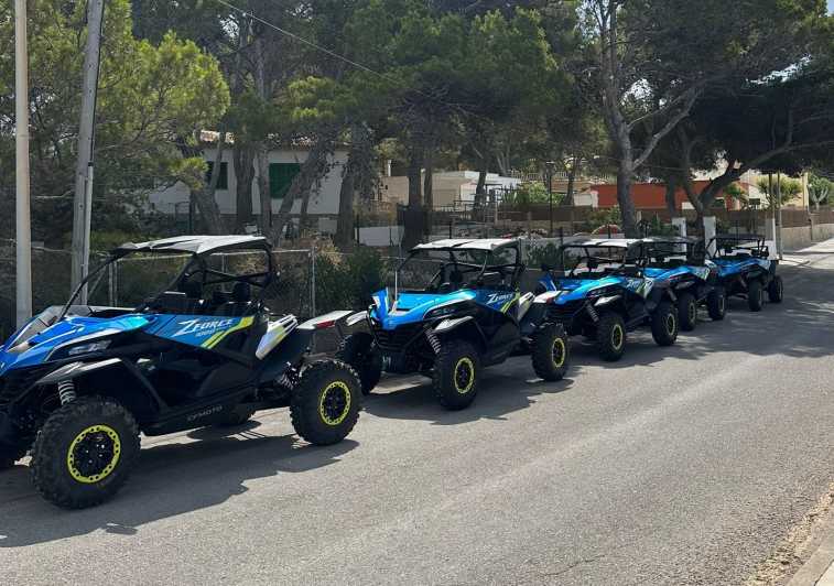 Paguera: 2 Hour Buggy Tour - Key Things to Know Before You Go
