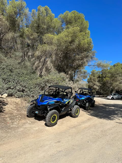 Paguera: 2 Hour Buggy Tour - Automatic CF Moto Zforce: Driving Ease, Real Safety, Real Responsibility