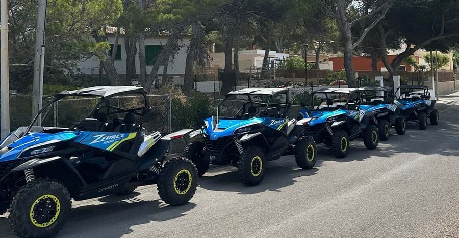 Paguera: 2 Hour Buggy Tour - The Calvià Coastline Segment: Where the Driving Becomes the Fun