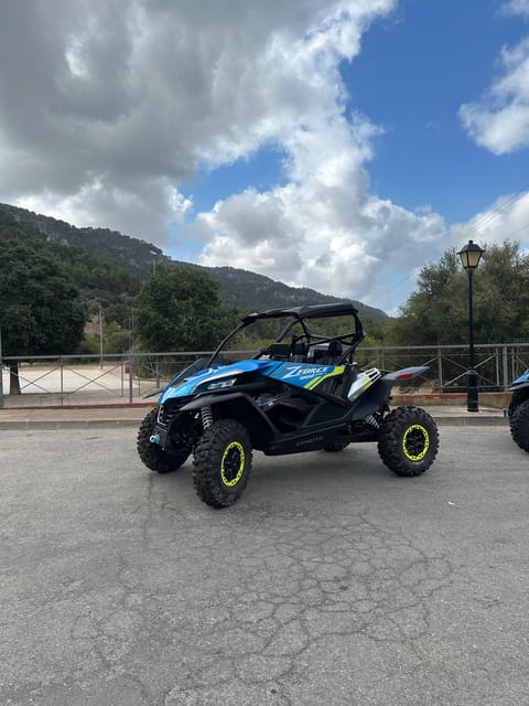 Paguera: 2 Hour Buggy Tour - Main Stop: Cap Falco, the View That Justifies the Driving