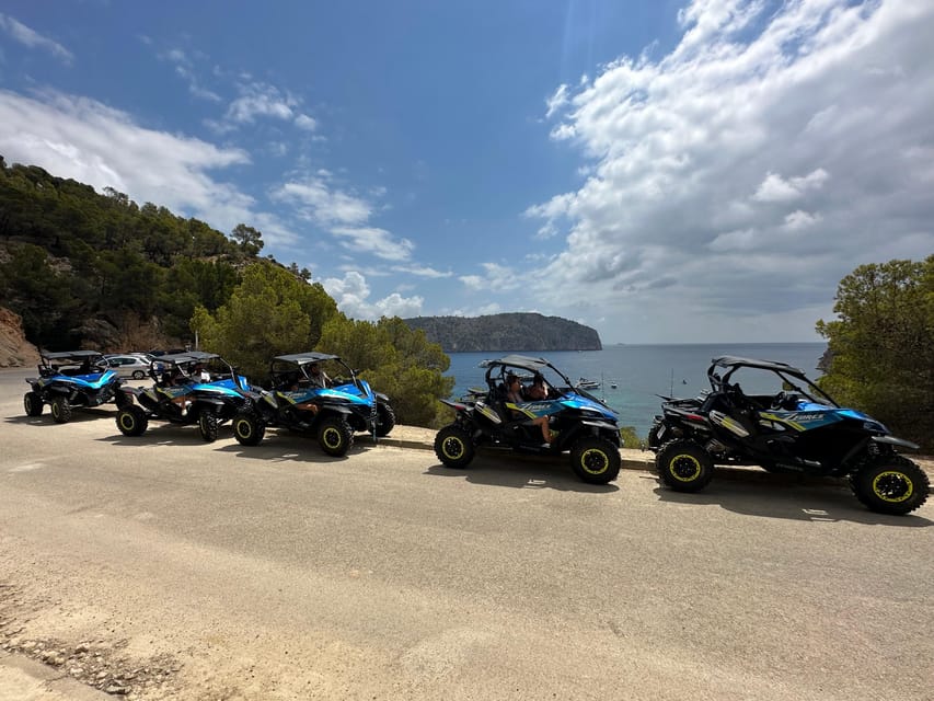 Paguera: 2 Hour Buggy Tour - Timing Reality: 2 Hours on the Clock, 1 to 3 Stops in Practice