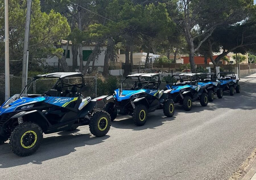 Paguera: 2 Hour Buggy Tour - Paguera Meeting Point and What Happens Right Away