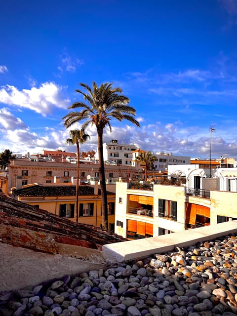 Palma authentically. Small group City tour with tapas - Meeting at LENNOX Pub, then getting your bearings fast