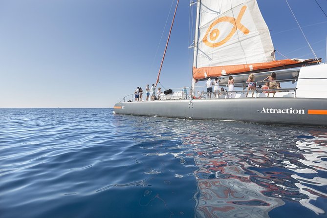 Palma Bay Catamaran Half-Day Cruise - Boarding, Seating, and the Real Deal on Crowds
