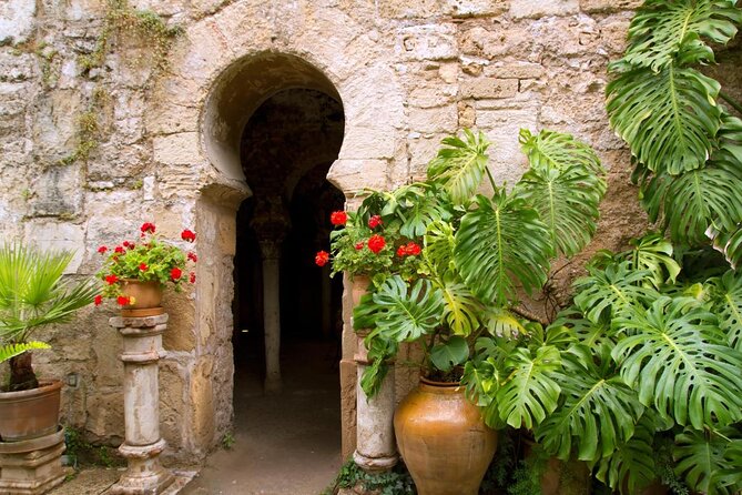 Palma Cathedral & Surroundings PRIVATE TOUR with Ticket Included - Key things I’d bank on with this Palma private tour