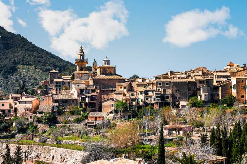 Palma, Cathedral & Valldemossa: Guided walking Tour - Parc de la Mar start: how to avoid the early-time scramble