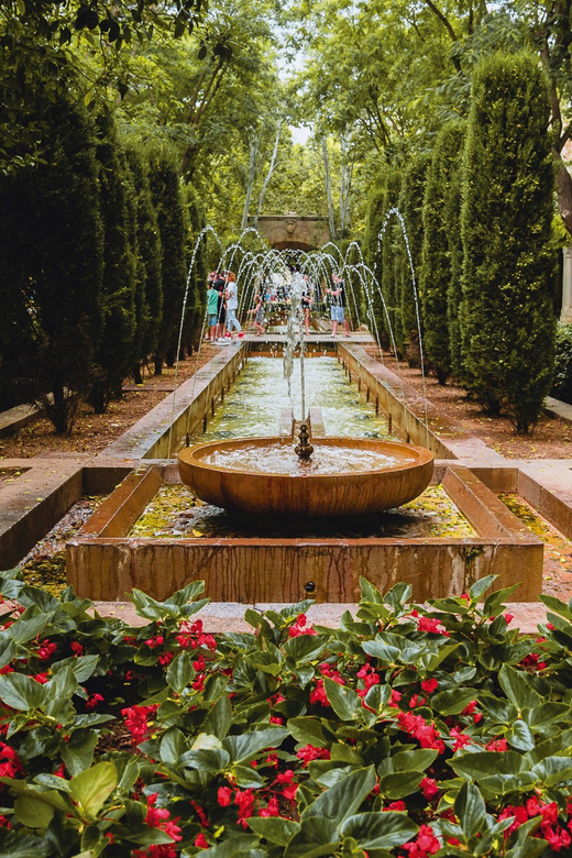 Palma, Cathedral & Valldemossa: Guided walking Tour - Palma on foot: what the 45-minute route does for you