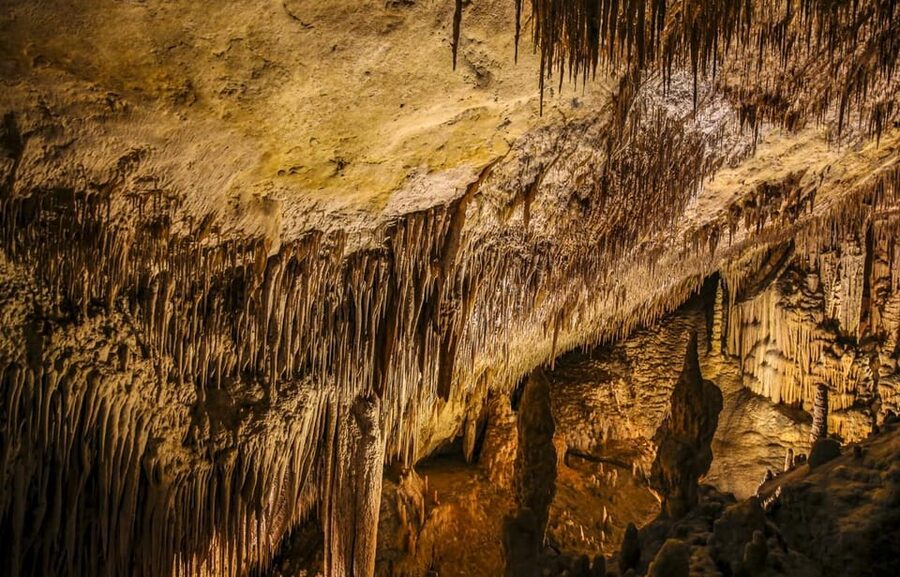 Palma: Caves of Drach Entrance, Music Concert, and Boat Trip - From Palma to Porto Cristo: What the Bus Ride Really Feels Like
