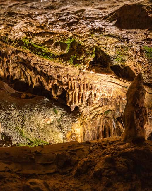 Palma: Caves of Genova Ticket & Digital Informational Video - Key highlights before you go