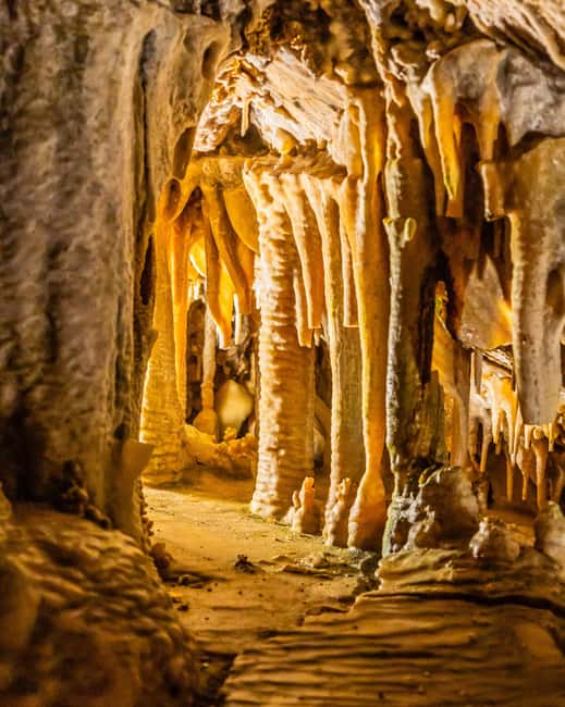 Palma: Caves of Genova Ticket & Digital Informational Video - Price and value: why $14 can be a smart Palma stop
