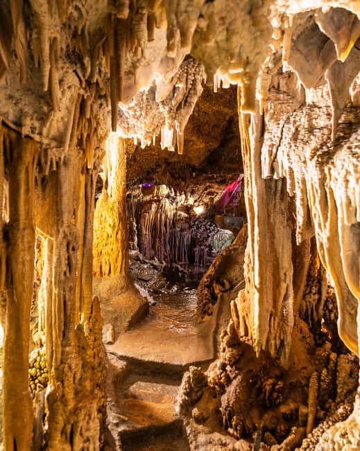 Palma: Caves of Genova Ticket & Digital Informational Video - Logistics that actually matter: when to go and where to check in