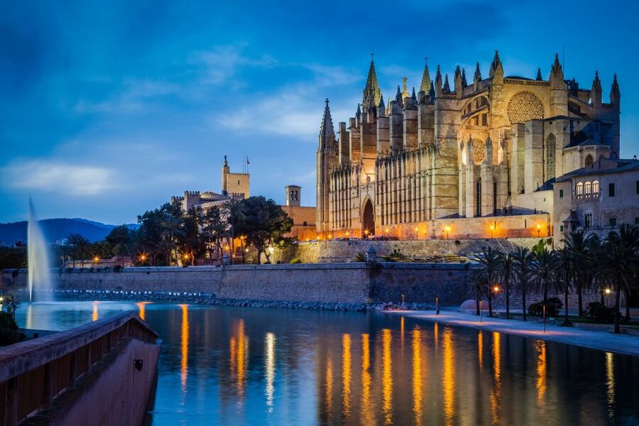 Palma: Culinary Tapas Tour of the Old Town - The Main Event: Warm Tapas and Bar-to-Bar Variety